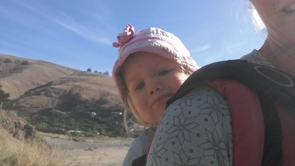 Elly hikes the Godley Head Trail from Taylors Mistake, with Ayla in the backpack.