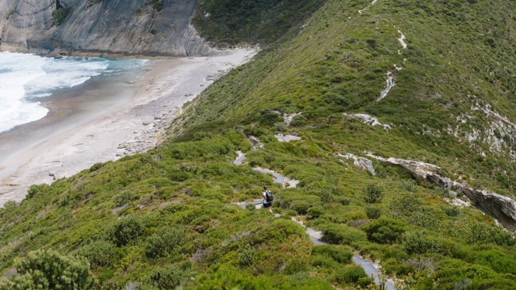 Trekker on a verdant path overlooking Albany’s dramatic coastal cliffs, Western Australia.