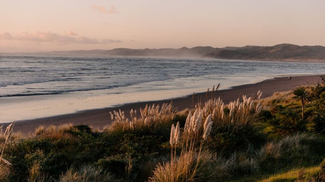 Serene view of Raglan Beach at sunset with waves and coastal grass in Waikato, New Zealand.