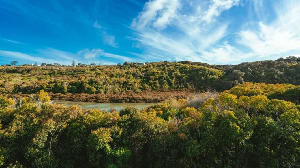 Serene view of lush greenery and vibrant blue sky over hills in Auckland, New Zealand.
