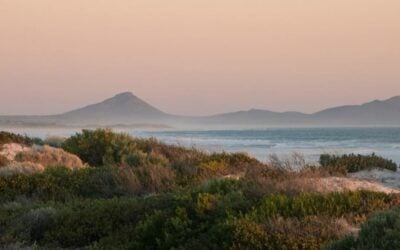 Family Activity Guide – Best Things to Do in Esperance with Kids