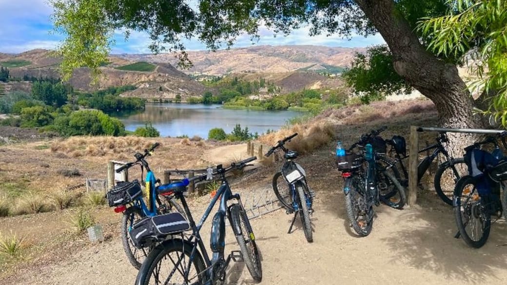 Bicycles parked under a tree with a view of a serene lake and hills in Queenstown, New Zealand.