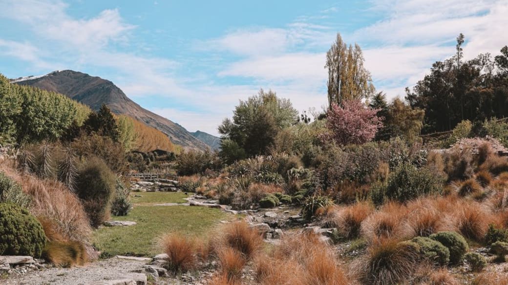 Serene landscape in Queenstown, New Zealand, showcasing lush greenery and mountainous backdrop.