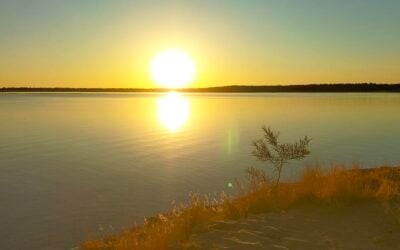 Unmissable Places to Visit in the Central Queensland Highlands