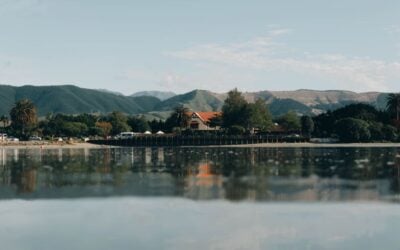 Things to Do in Nelson NZ: The Ultimate Guide for Families