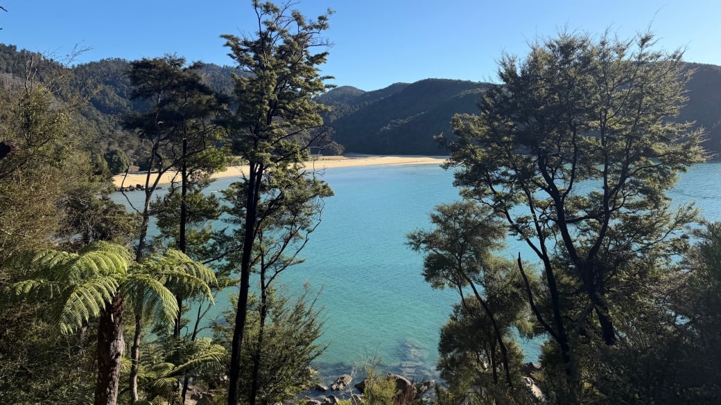 A spectacular view of Abel Tasman National Park, with trees and hills and beach beyond