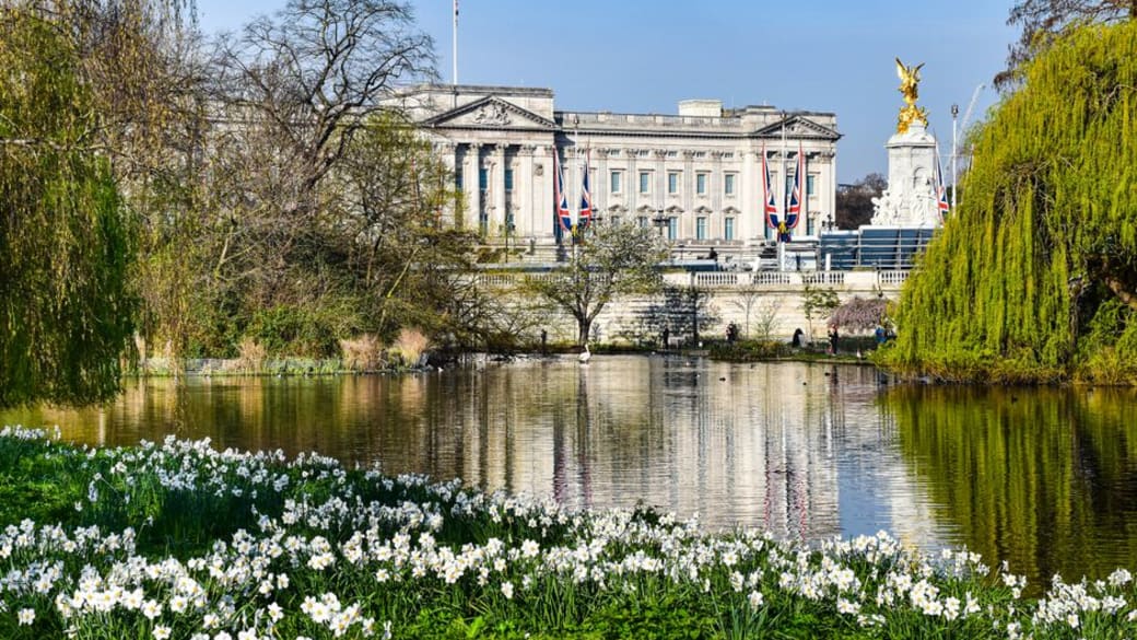 Tranquil scene of Buckingham Palace with blooming flowers in St. James's Park.