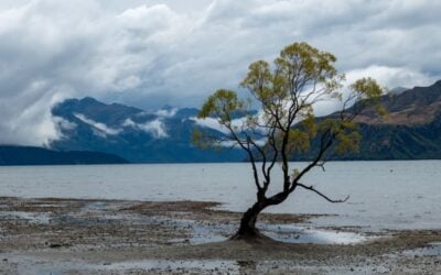 Wanaka Travel Guide: Top Activities and Must-See Attractions