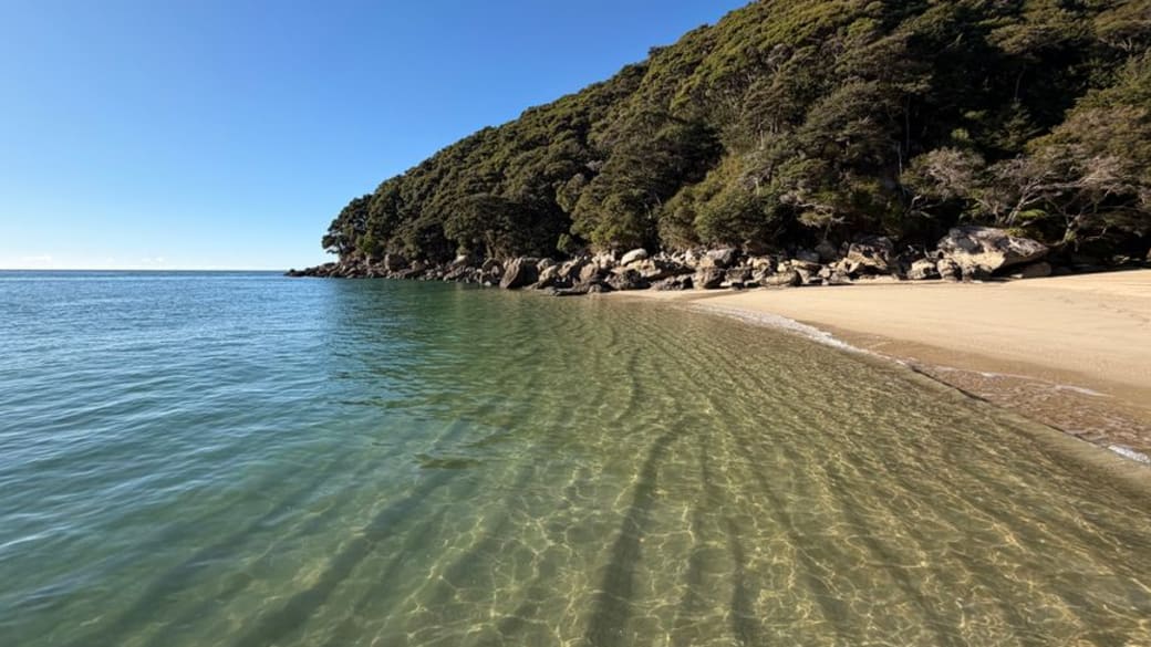 Serene coastal scene with crystal clear water and lush greenery in Abel Tasman National Park.
