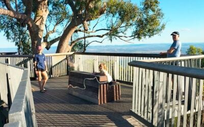 Our Favorite Places to Visit and Things to Do in Rockhampton With Kids